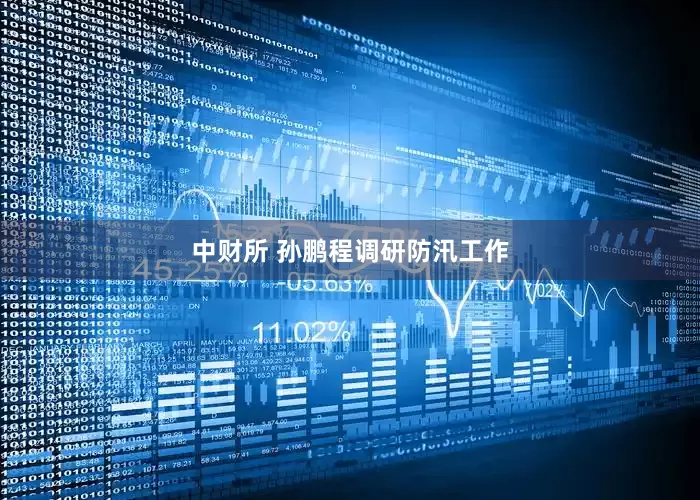中财所 孙鹏程调研防汛工作