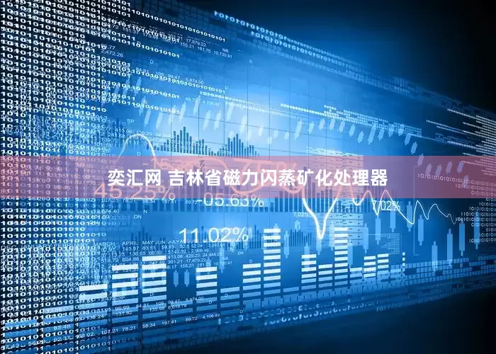 奕汇网 吉林省磁力闪蒸矿化处理器